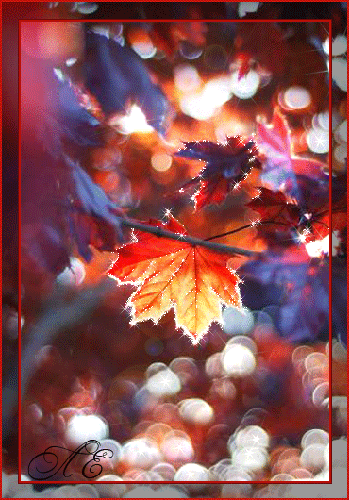Осенний лист в солнечных лучах
